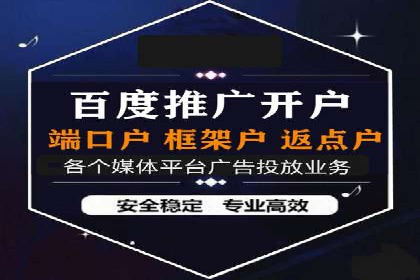 百度平台推广策略及成功案例解析